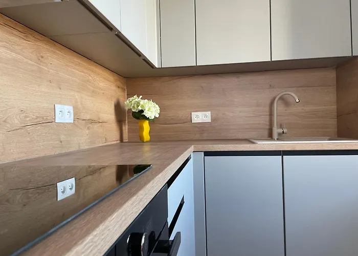 Skynest ברטיסלאבה